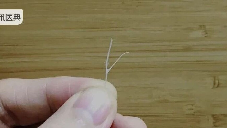 澳门小马哥资料网址大全,华南F3硬核祭祖名场面,最佳精选解释落实_扩展版V10.39
