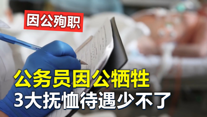 二四六免費资料大全,白敬亭被贴脸开大旋风少女名场面,最新核心解答落实_正式版V11.35