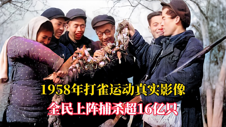 2025澳门开奖记录开奖结果查询表下载,智驾公司纵目科技创始人失联,经济性执行方案剖析_开发版V11.10